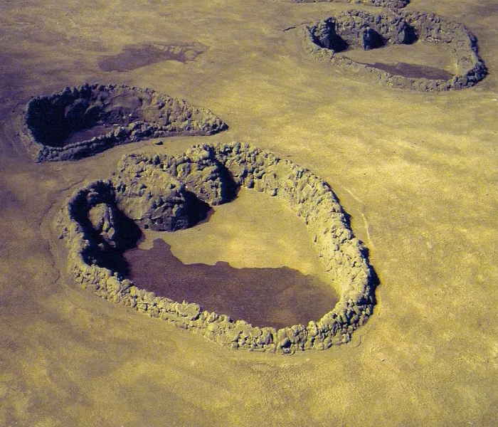 Tesouros naturais · Uma viagem ao passado entre as montanhas de Mendoza Pegada real de dinossauro pré-histórico na pedra mendocina