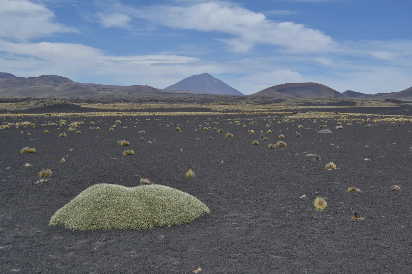 La Payunia · Paisagem vulcânica semelhante a Marte em Mendoza Paisagem cinza de La Payunia, Malargüe: solo vulcânico escuro e céu limpo