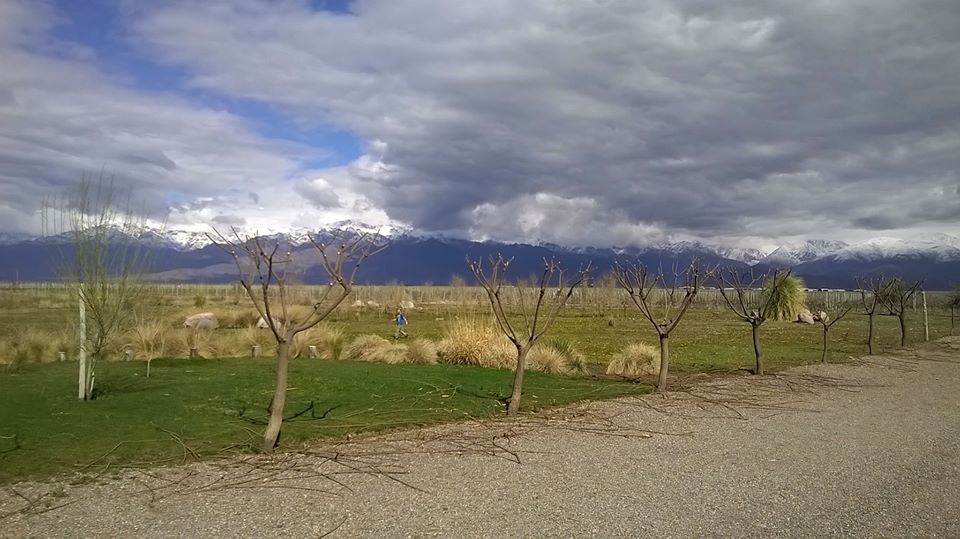 Postal da rota La Carrera em Tupungato, Mendoza