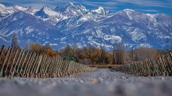 Weinberge in Tupungato mit Landschaften von Mendoza