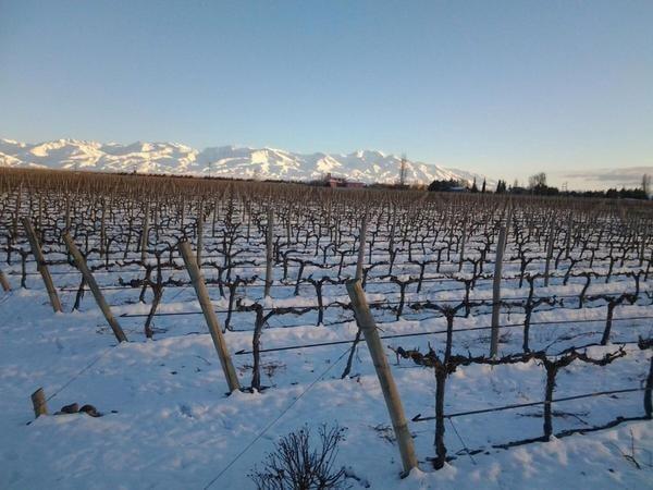 Vinhedos nevados em Tupungato, Vale de Uco, Mendoza