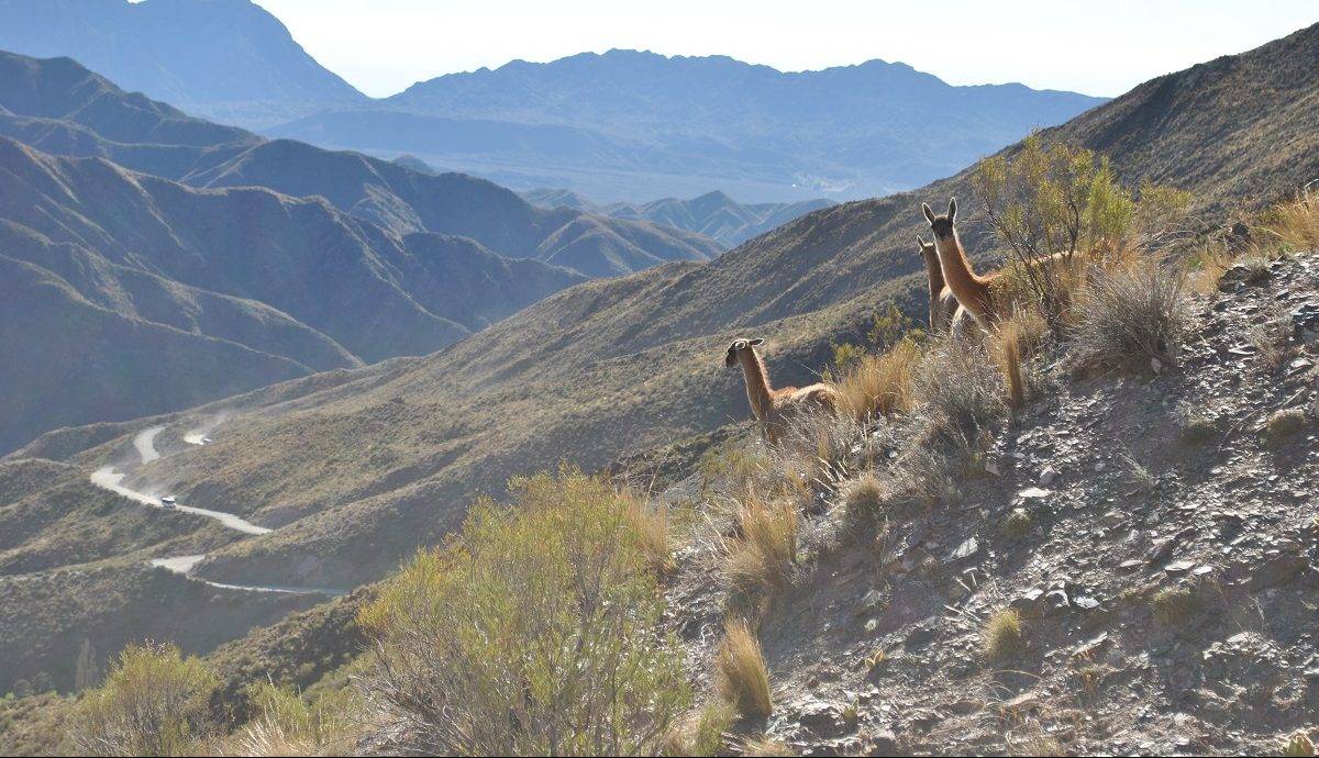 Rota cênica Villavicencio–Uspallata – montanhas e história