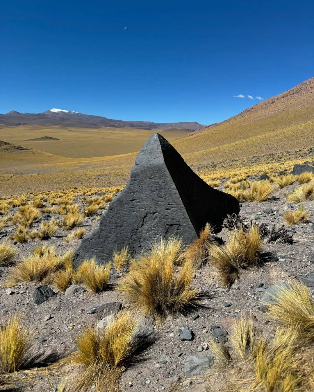 Formação rochosa afiada no altiplano andino de Mendoza